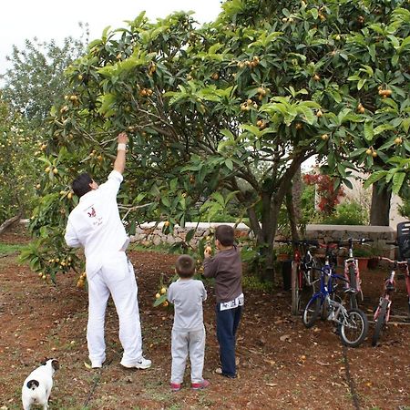 Agroturismo Can Gall Hotel Sant Joan De Labritja Kültér fotó