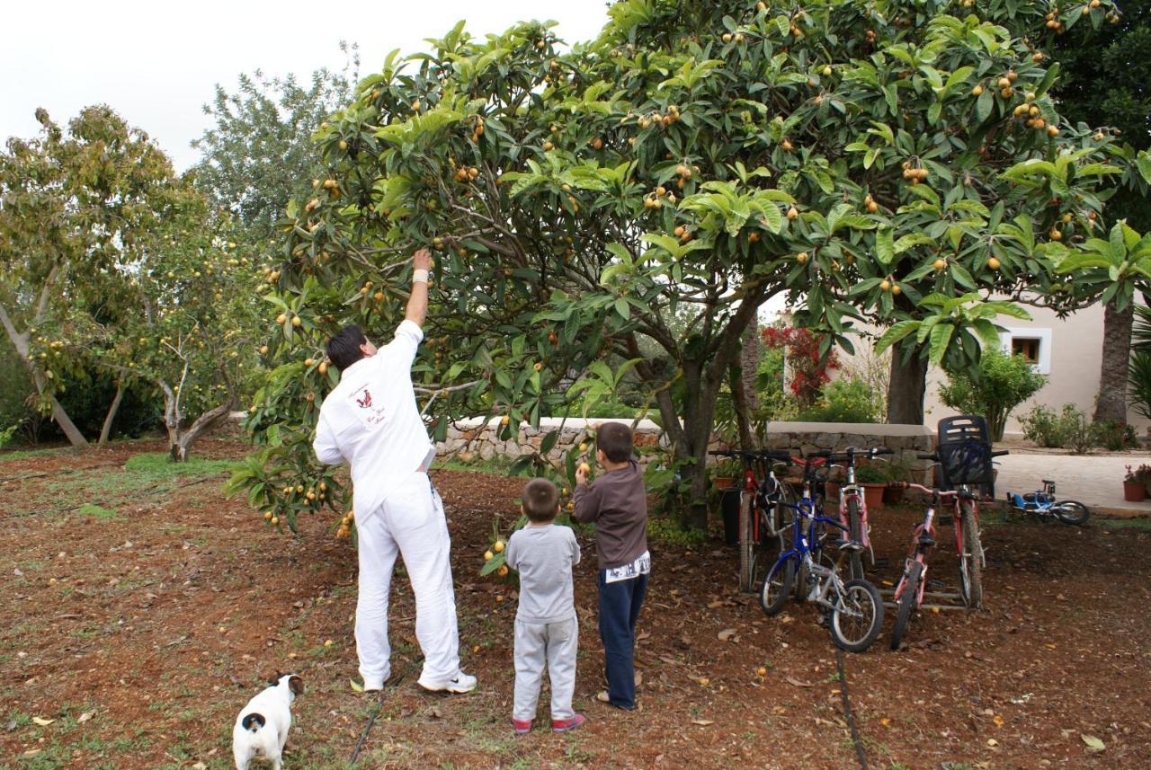 Agroturismo Can Gall Hotel Sant Joan De Labritja Kültér fotó